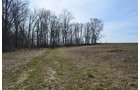 Property photo 129 - REAL ESTATE & PERSONAL PROPERTY AUCTION, 140 Acres offered in 8 Tracts or Combinations in Steuben County